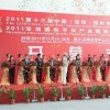 2013年中国移动电源展会