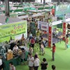 深圳国际艾灸养生产业展览会